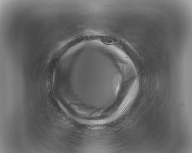 X0000066011303200603242047