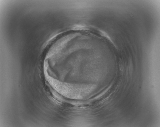 X0000066011304200603242047