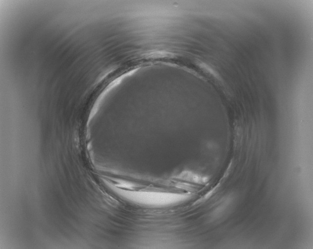 X0000066011305200603242047