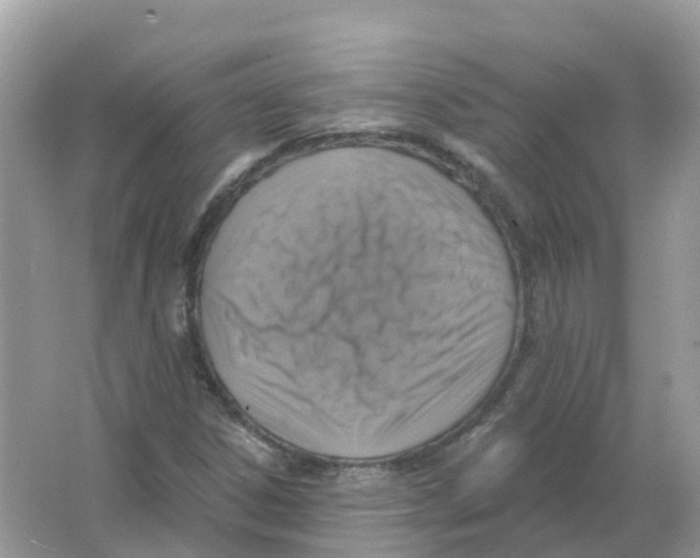 X0000066011306200603242047