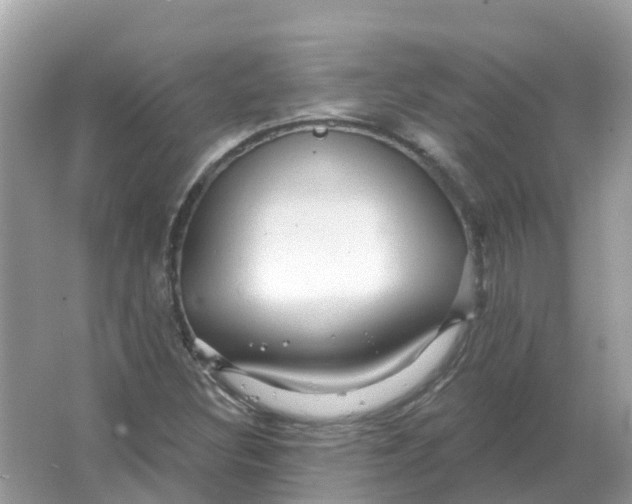 X0000066011308200603242047