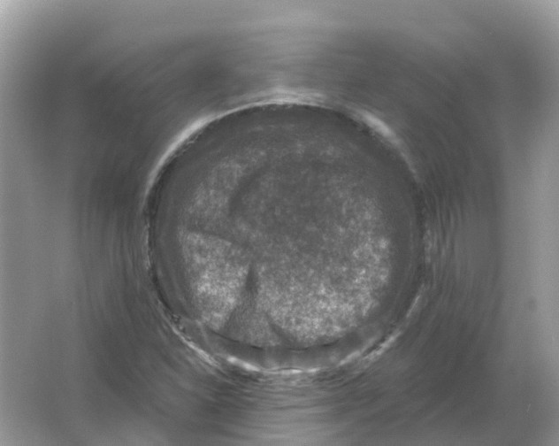 X0000066011310200603242047