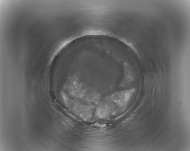 X0000066011311200603242047