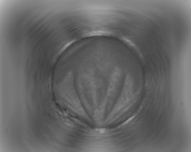 X0000066011313200603242047