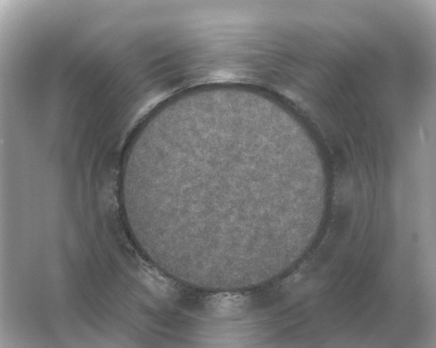 X0000066011314200603242047