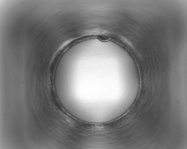 X0000066011315200603242047