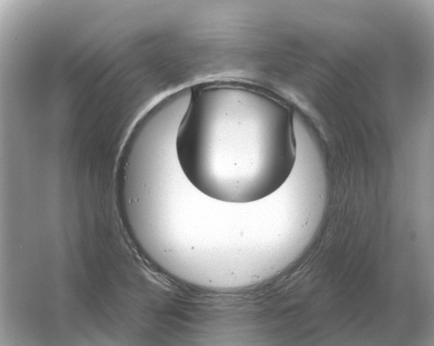 X0000066011316200603242047