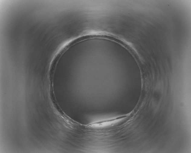 X0000066011319200603242047