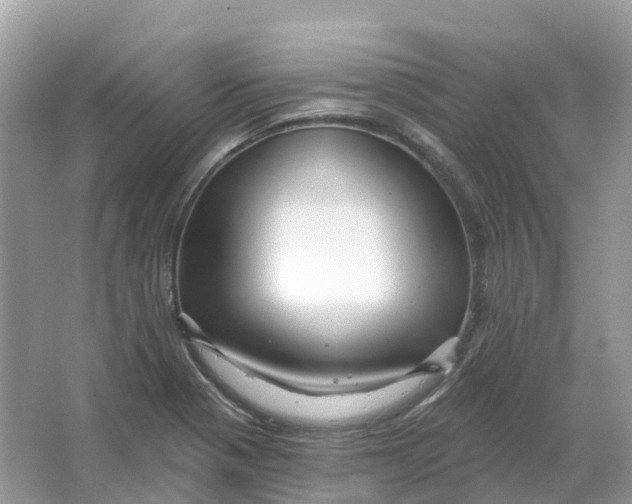 X0000066011321200603242047