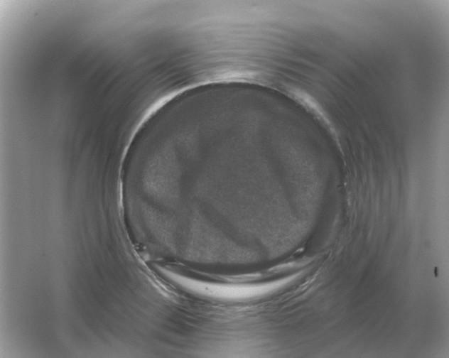 X0000066011324200603242047