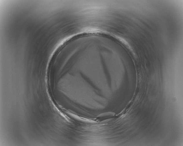 X0000066011327200603242047
