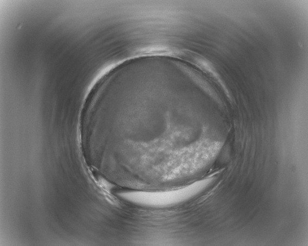 X0000066011328200603242047