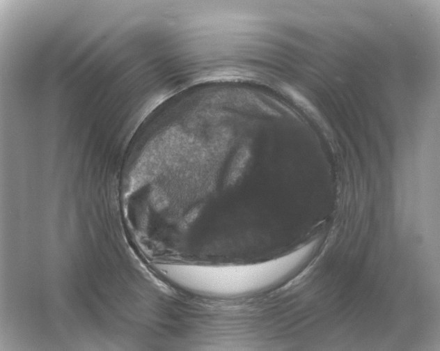 X0000066011329200603242047