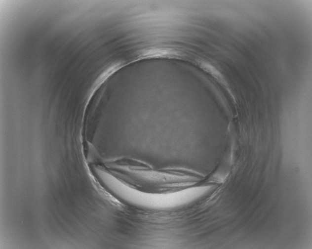 X0000066011330200603242047