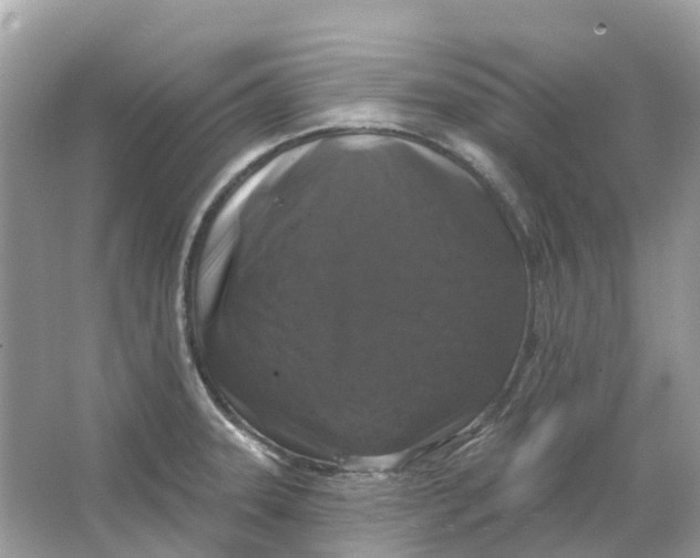 X0000066011331200603242047