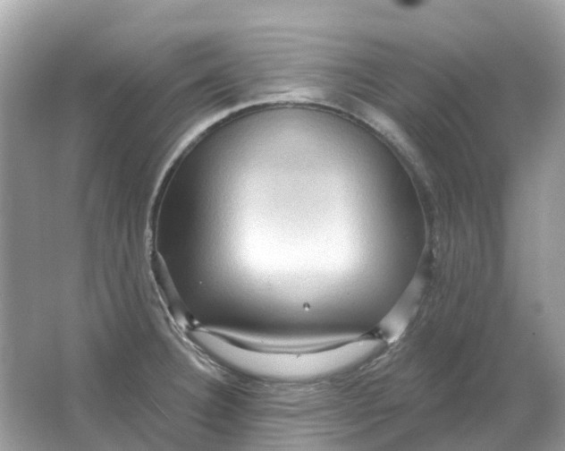 X0000066011332200603242047