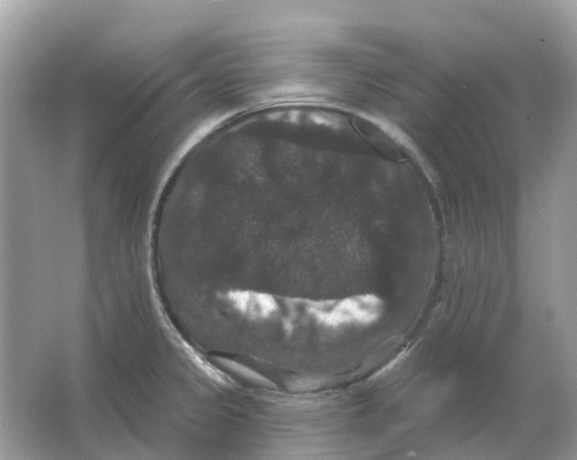 X0000066011333200603242047