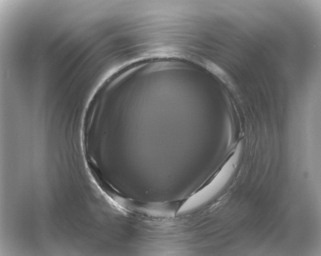 X0000066011334200603242047