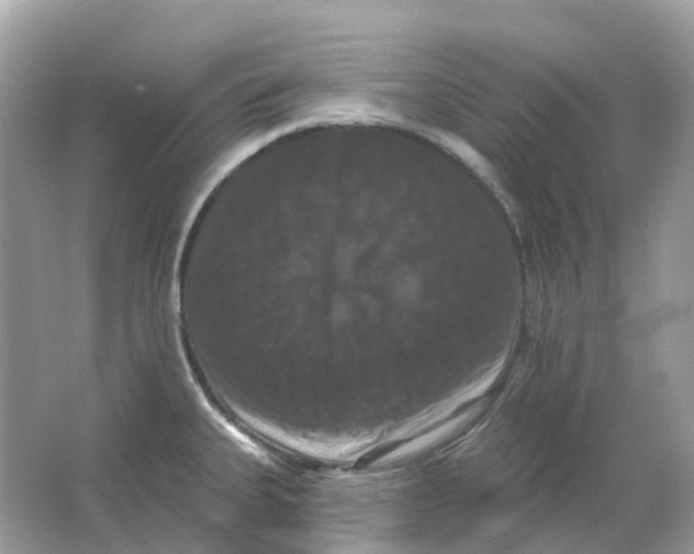 X0000066011335200603242047