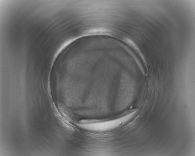 X0000066011336200603242047