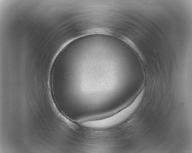 X0000066011339200603242048