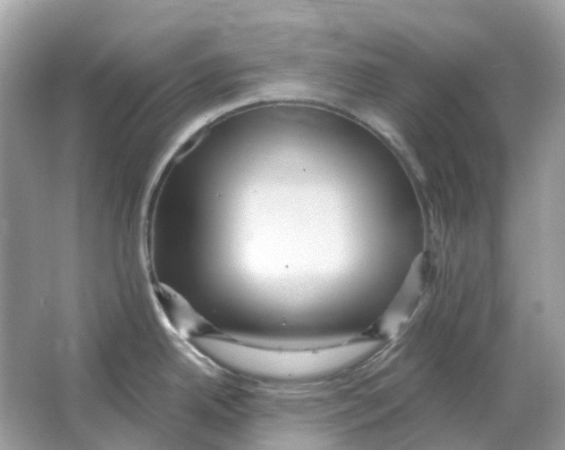 X0000066011342200603242048