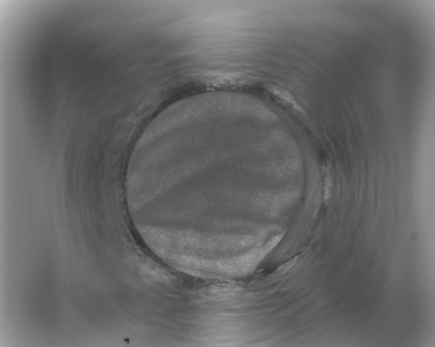 X0000066011345200603242047