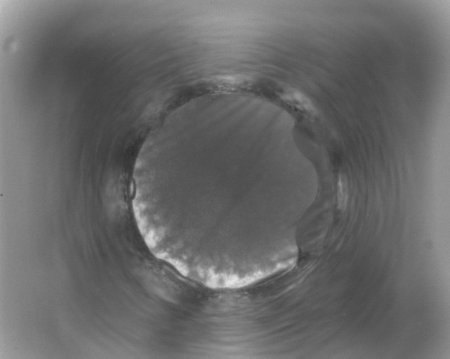 X0000066011346200603242047