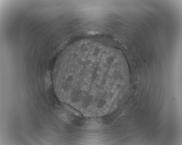 X0000066011347200603242047