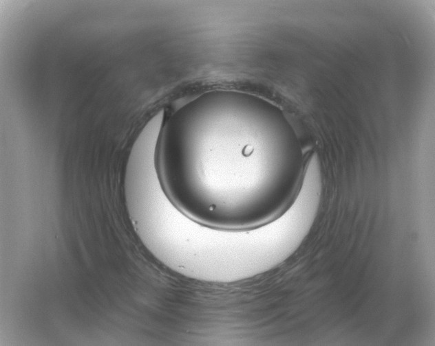 X0000066011348200603242047