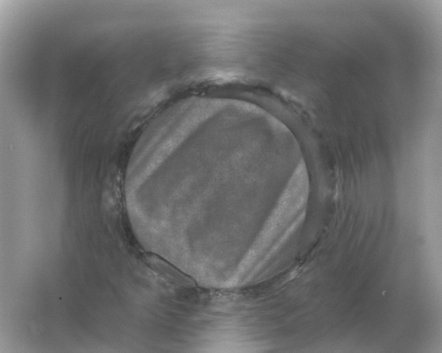 X0000066011349200603242047