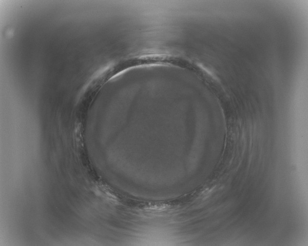 X0000066011351200603242047