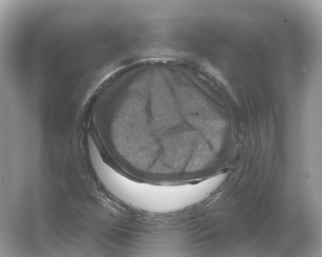 X0000066011352200603242047