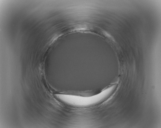 X0000066011353200603242047