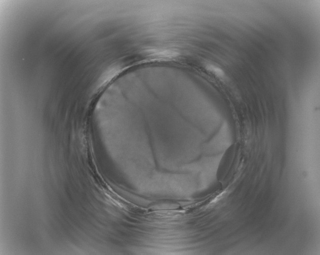 X0000066011354200603242047