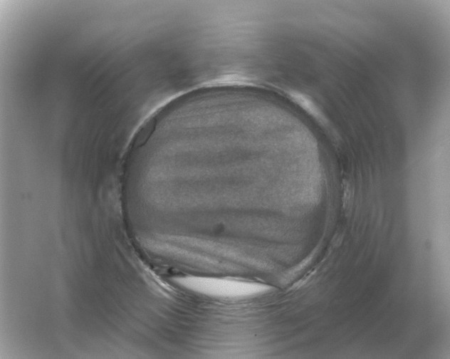 X0000066011356200603242047