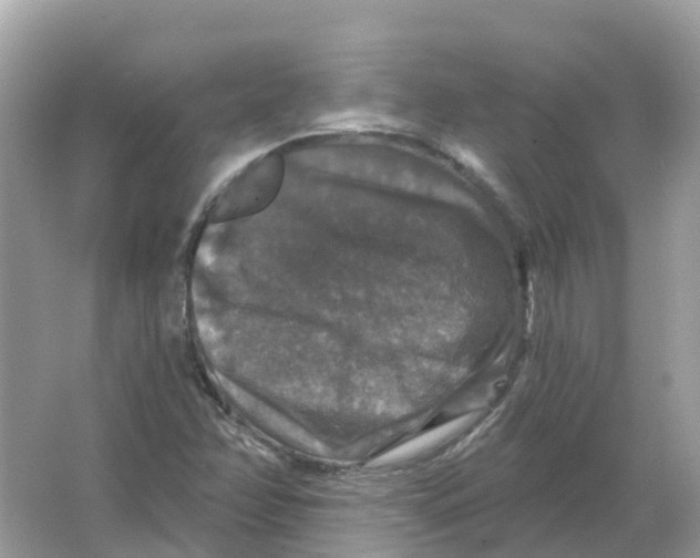 X0000066011358200603242047