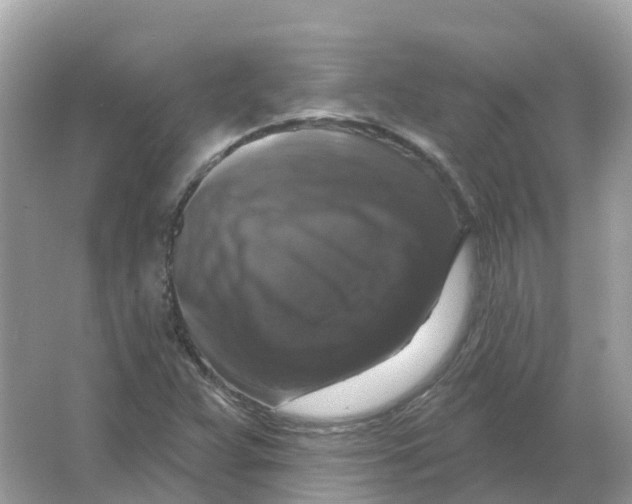 X0000066011359200603242047