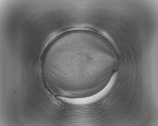 X0000066011360200603242047