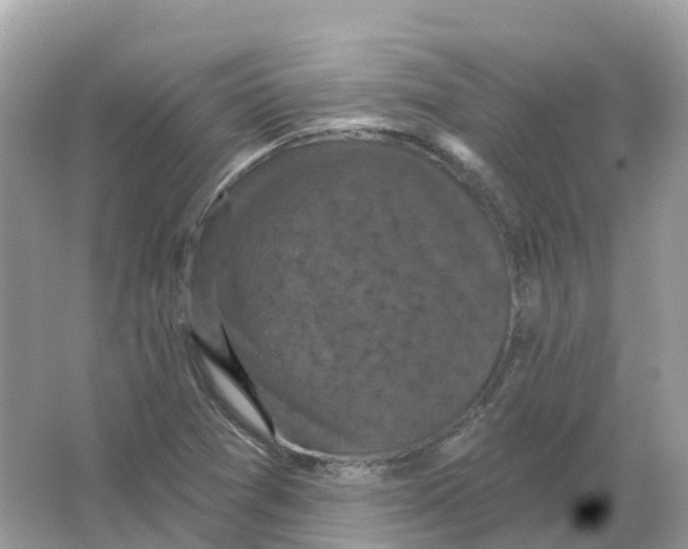 X0000066011361200603242047