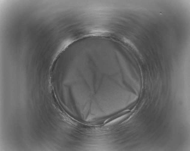 X0000066011362200603242047