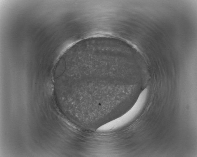 X0000066011363200603242047