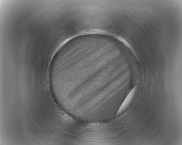 X0000066011364200603242047