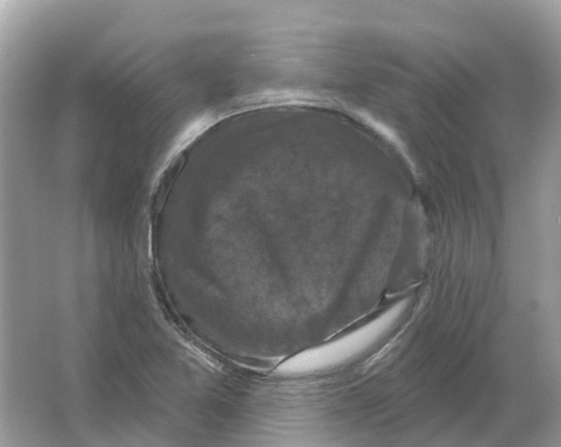 X0000066011365200603242046