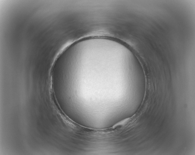 X0000066011366200603242046