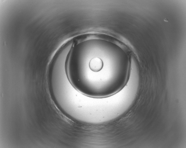 X0000066011368200603242046