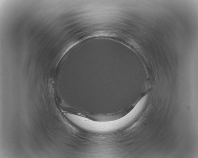 X0000066011369200603242046