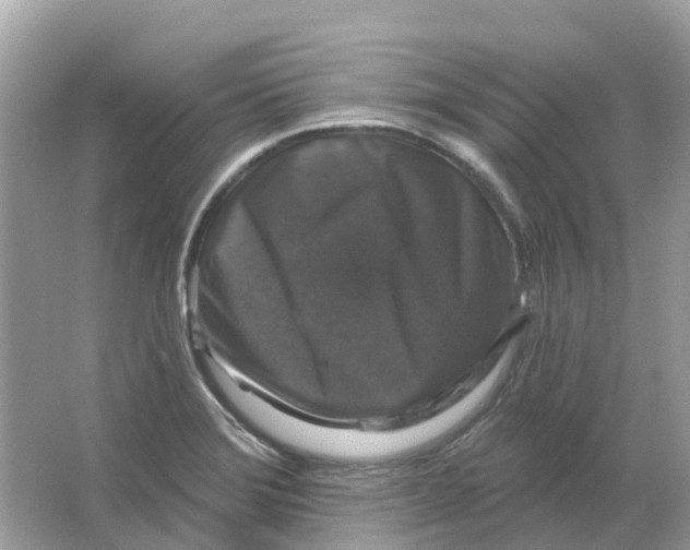 X0000066011372200603242046