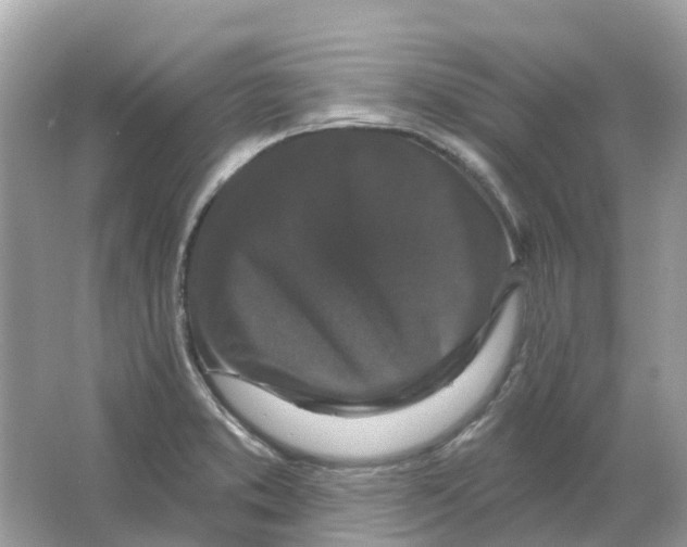 X0000066011373200603242046