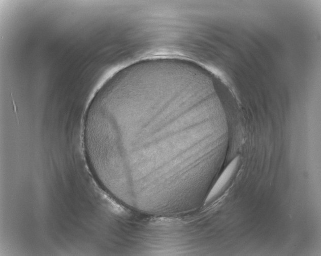 X0000066011374200603242046